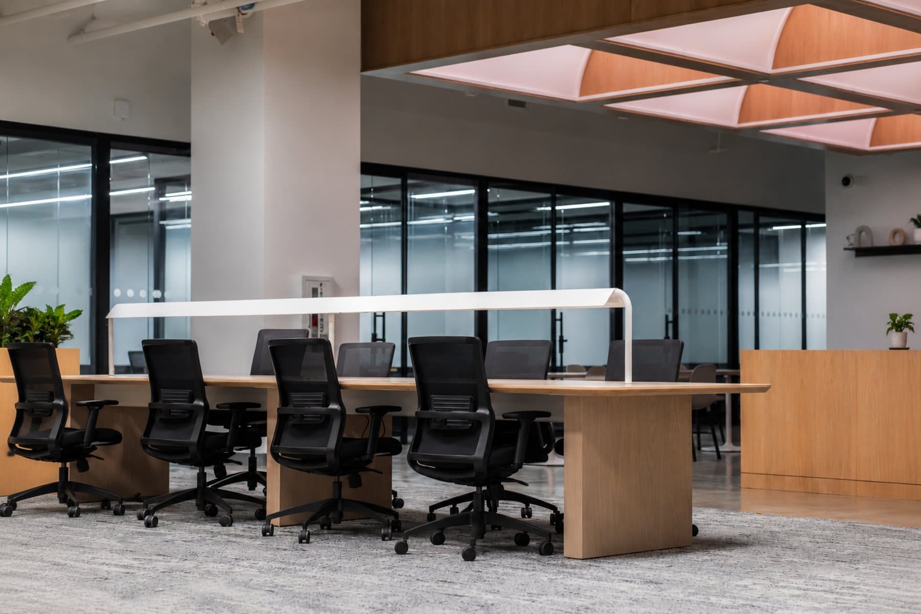 Inside a Theparkpay workspace